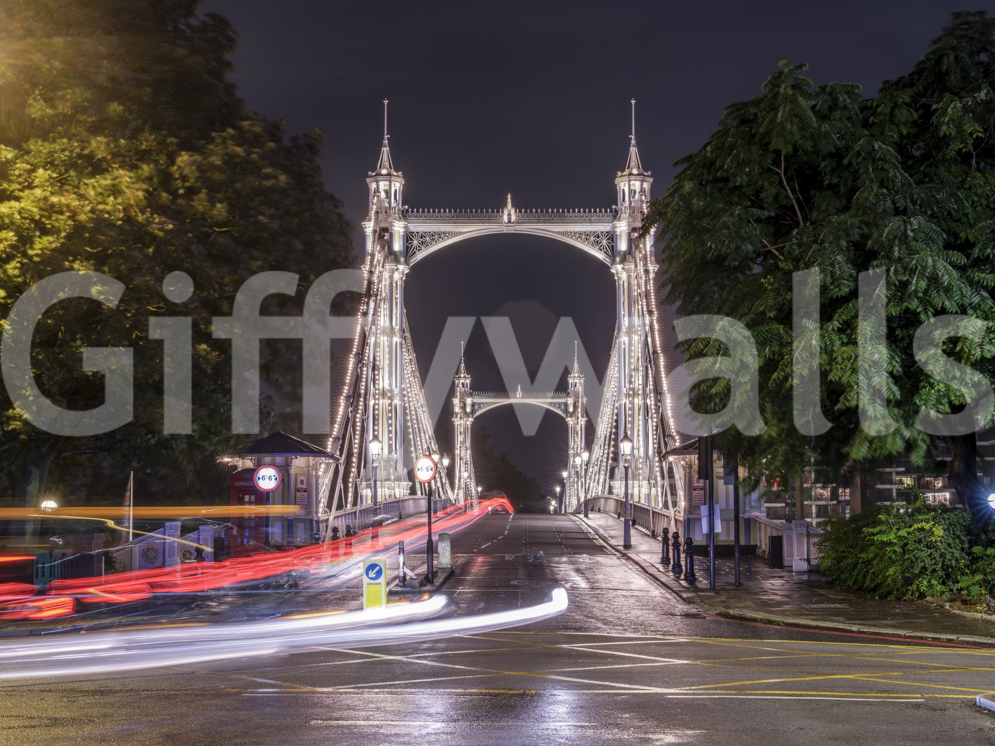 Metropolitan Bridge Light Trails Wall Mural