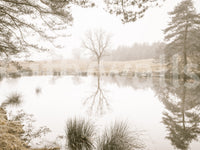 Ethereal Sepia Forest Reflection Wall Mural