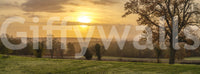 Rustic Sunset Tree Silhouettes Wall Mural
