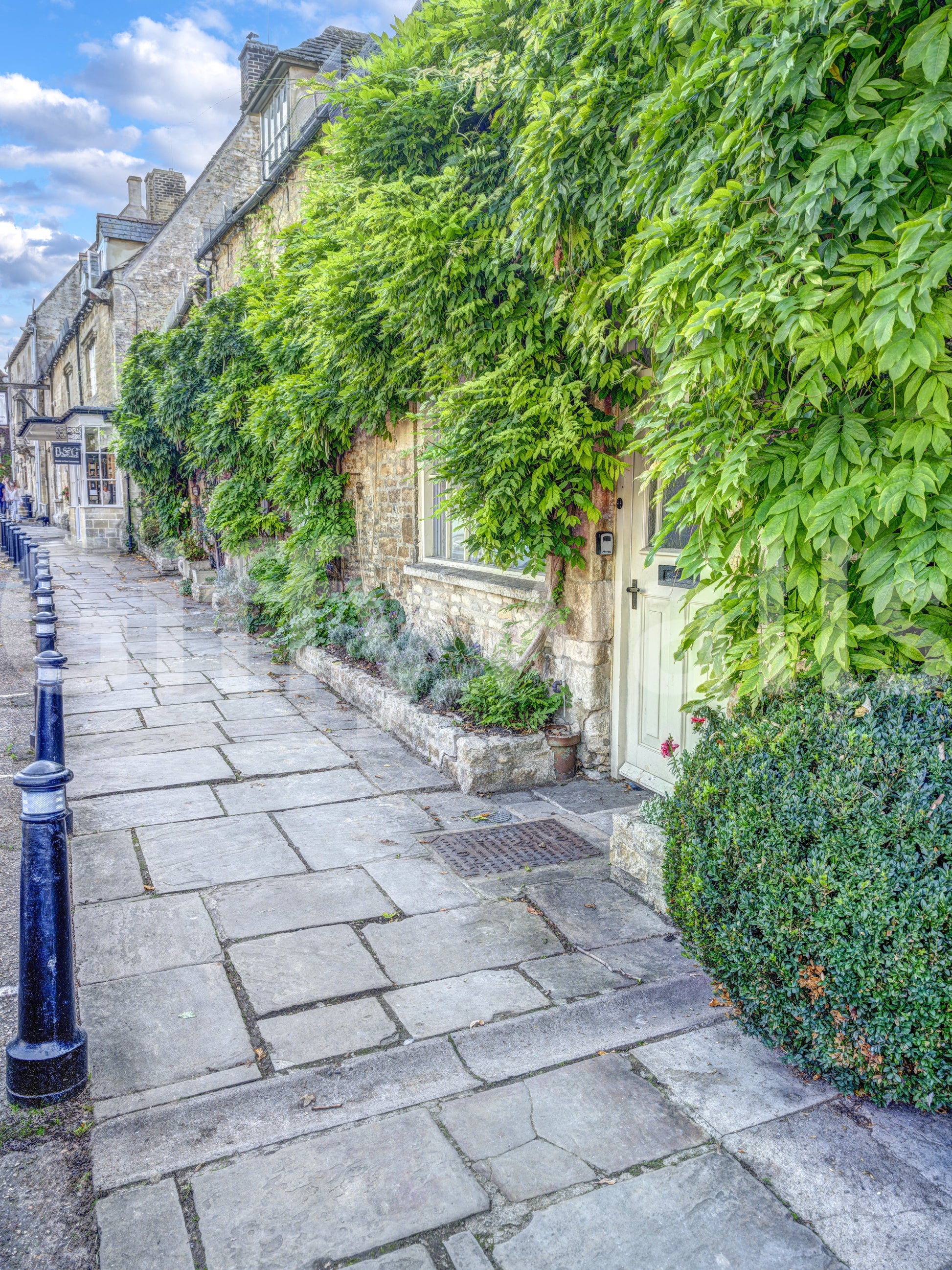 Rustic Stone Path and Climbing Ivy Wall Mural