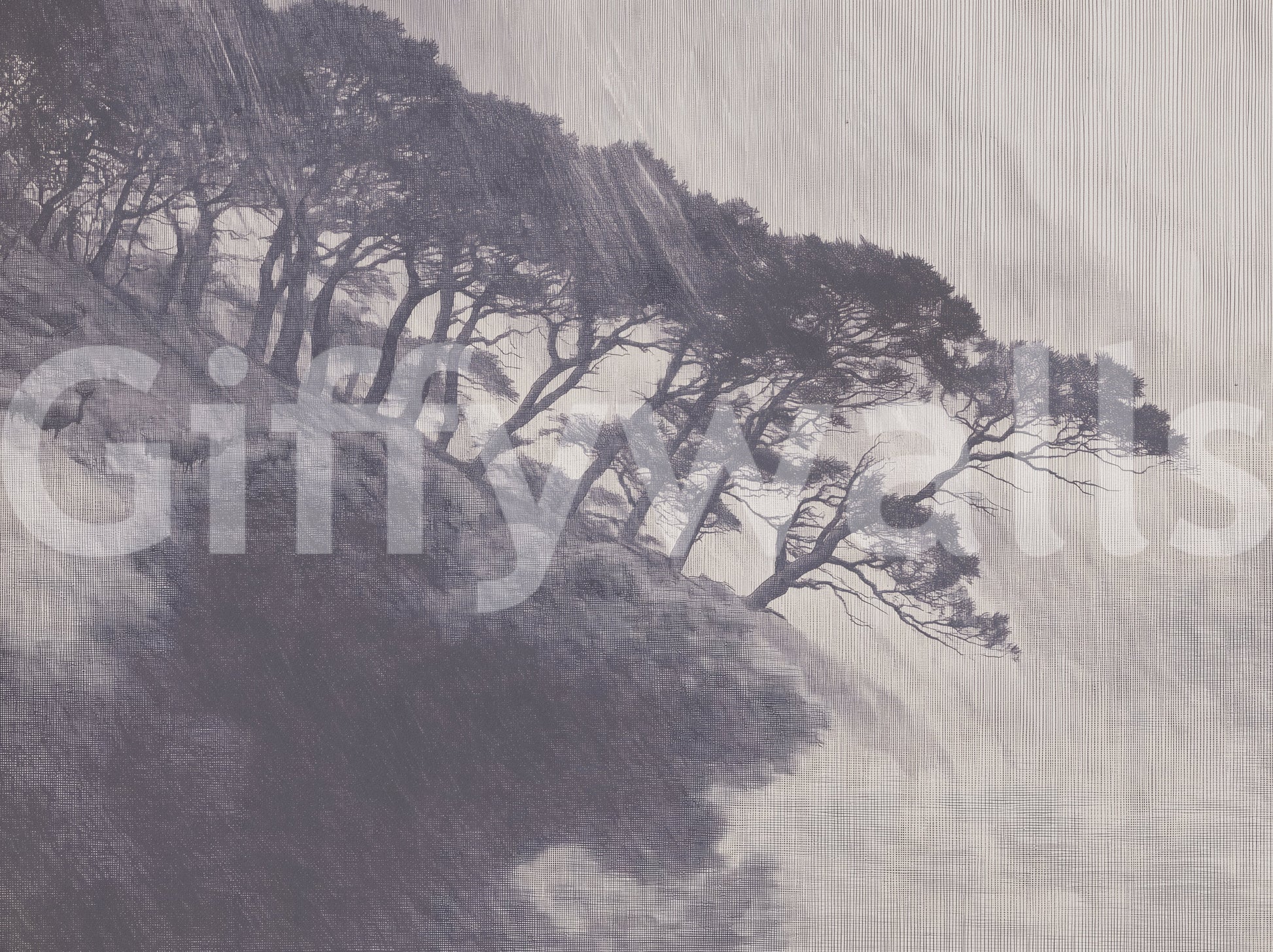 Monochrome Coastal Pines Landscape Wall Mural