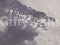 Monochrome Coastal Pines Landscape Wall Mural