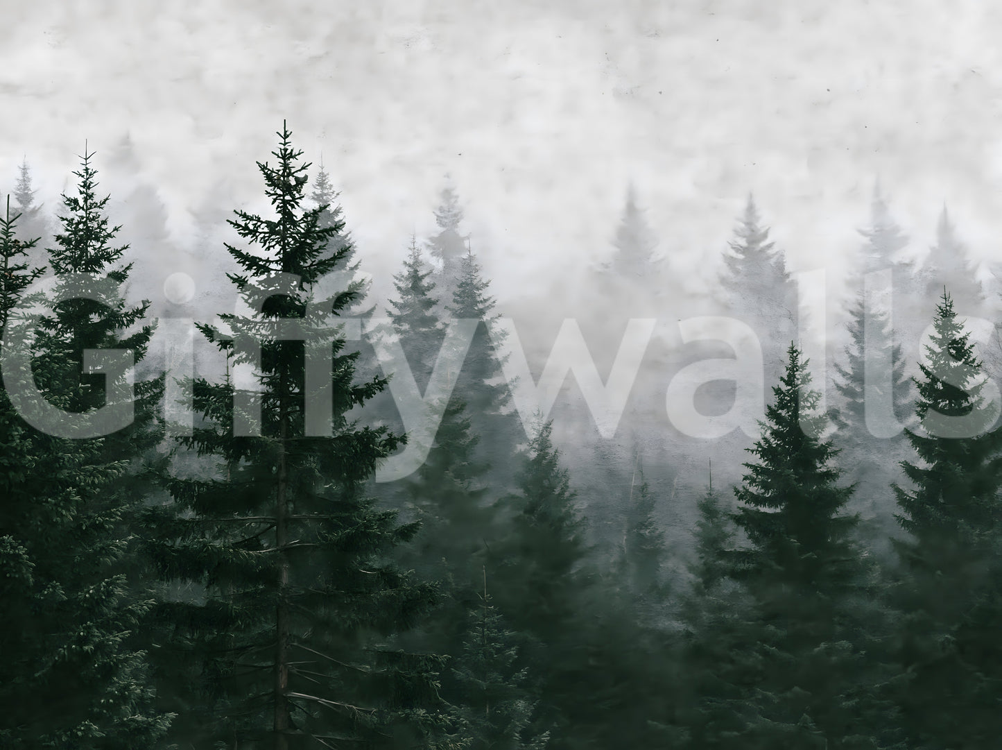 Evergreen Wilderness in Fog Wall Mural