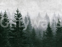 Evergreen Wilderness in Fog Wall Mural