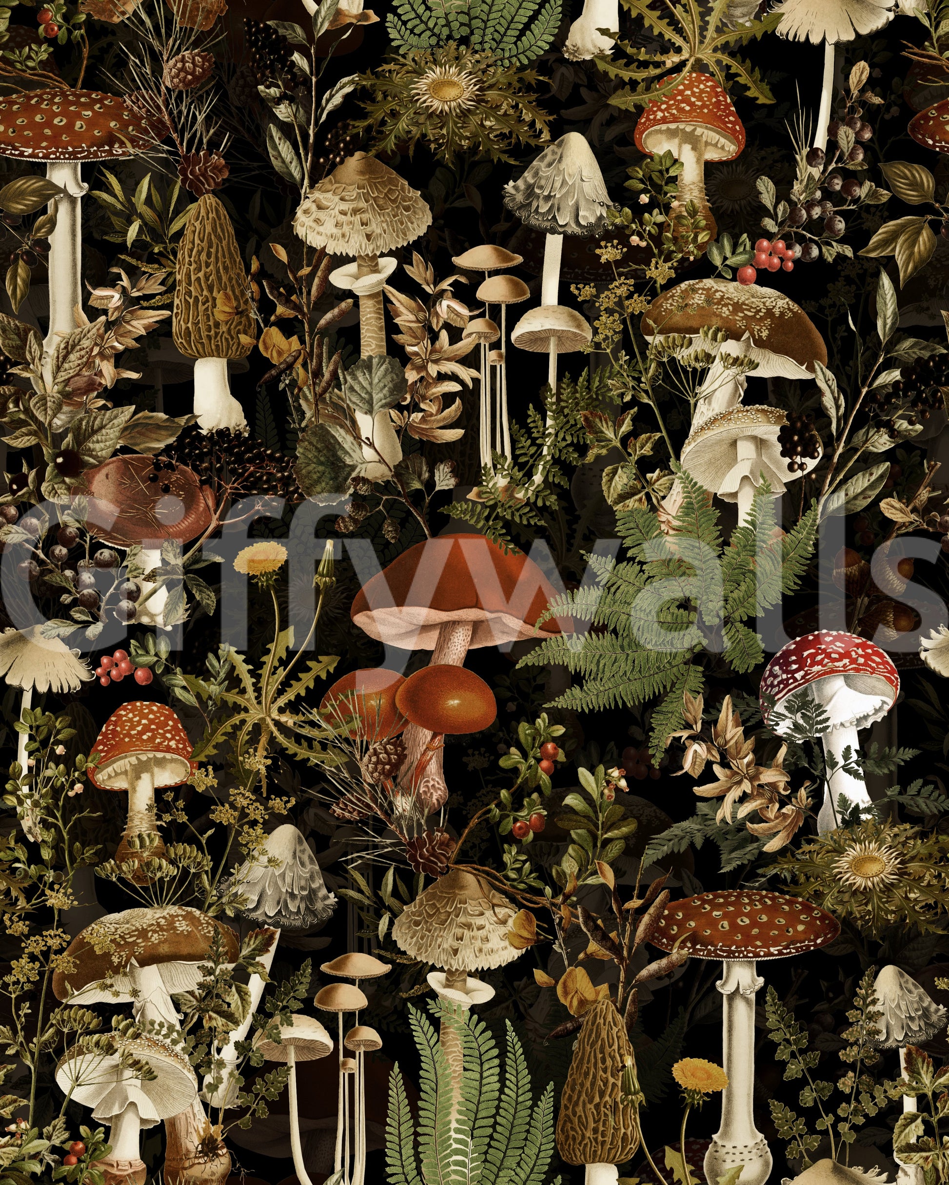 Midnight Forest Mushroom Botanical Wallpaper⁠