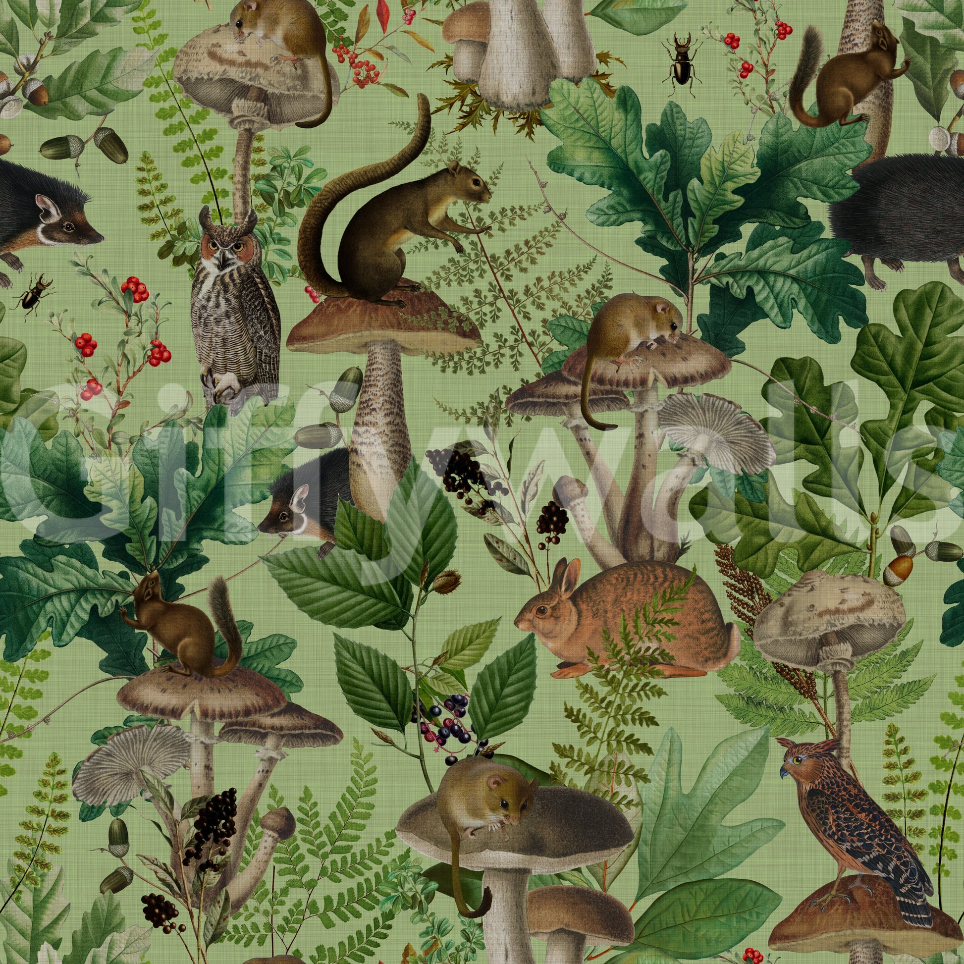 Botanical Woodland Mushroom Grove Wallpaper⁠