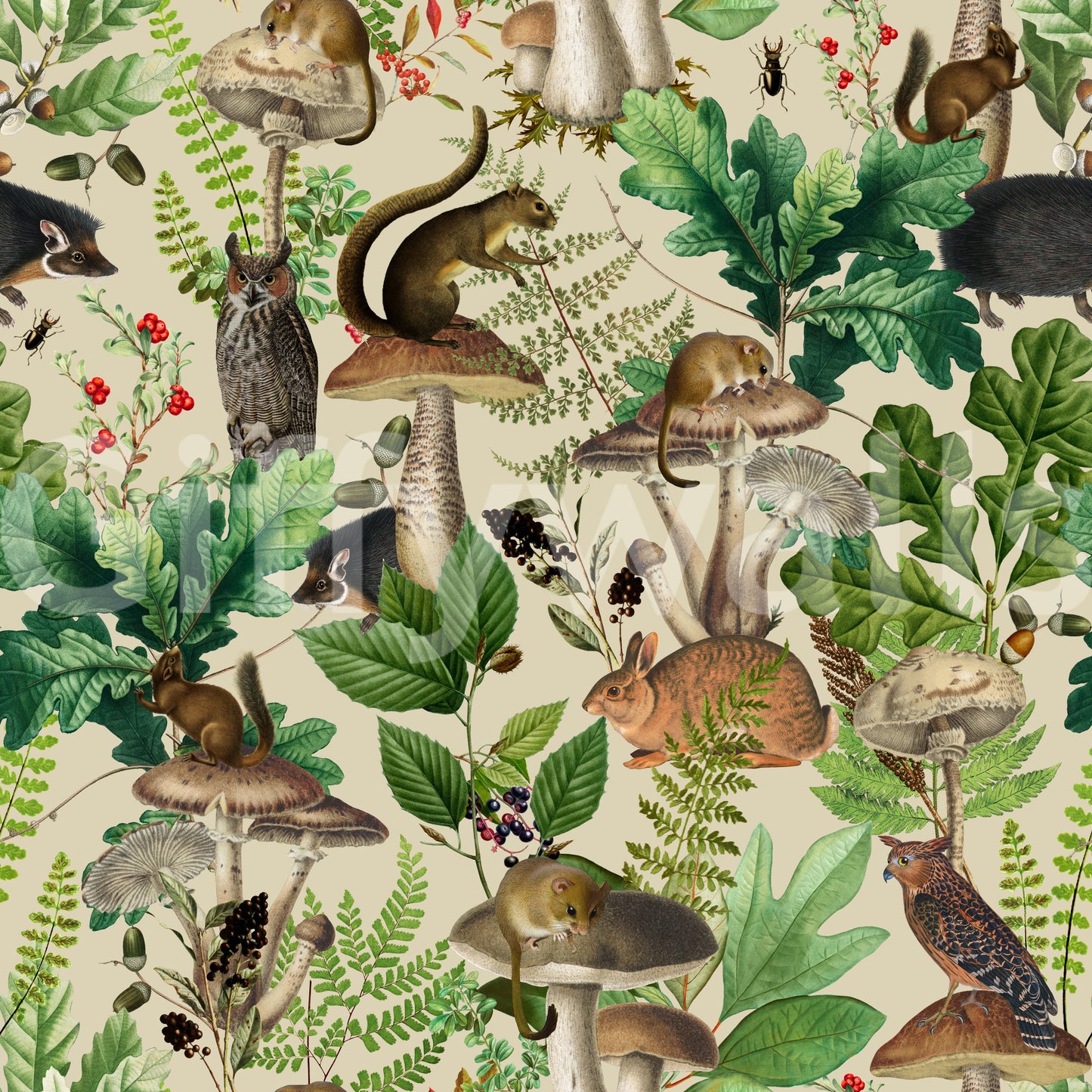 Enchanted Woodland Flora and Fauna Wallpaper⁠
