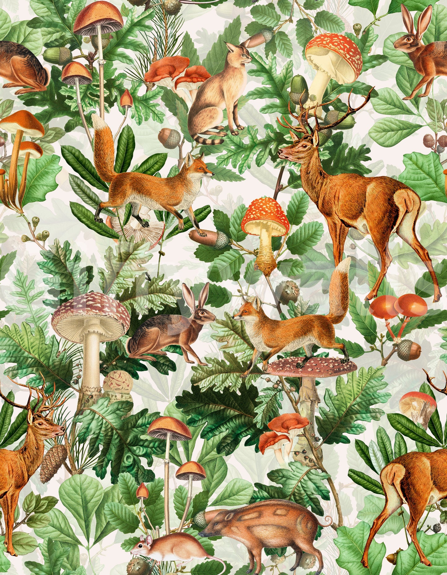 Rustic Forest Creatures and Fungi Tapestry Wallpaper⁠