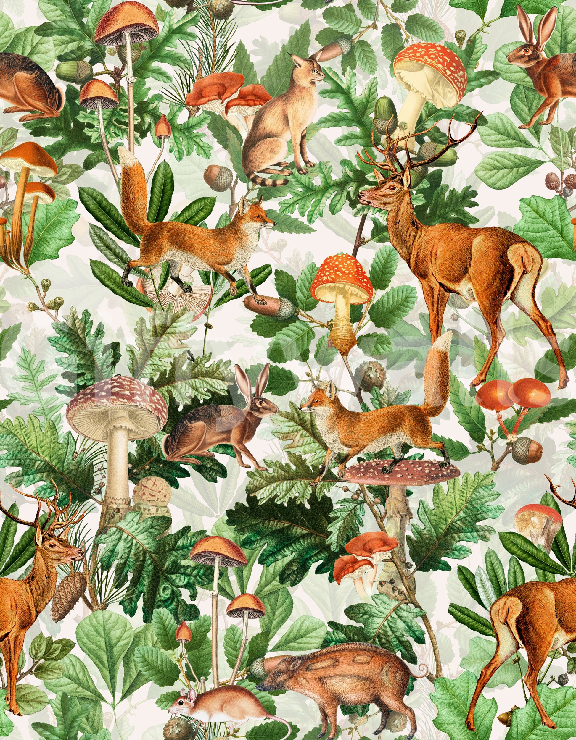 Rustic Forest Creatures and Fungi Tapestry Wallpaper⁠