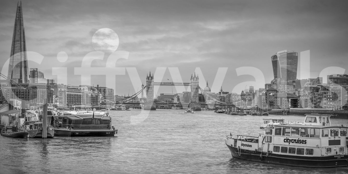 Thames River Moonlight Panorama Wall Mural