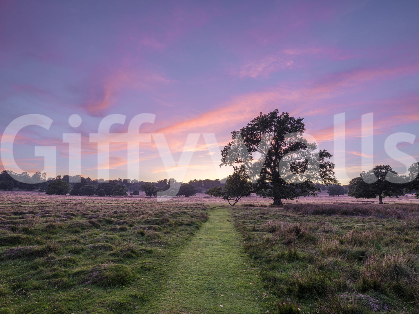 Twilight Field Horizon Wall Mural