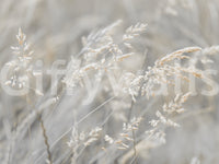 Ethereal Grass Wisps in Muted Tones Wall Mural