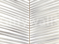 Symmetrical Frond Line Art Wall Mural