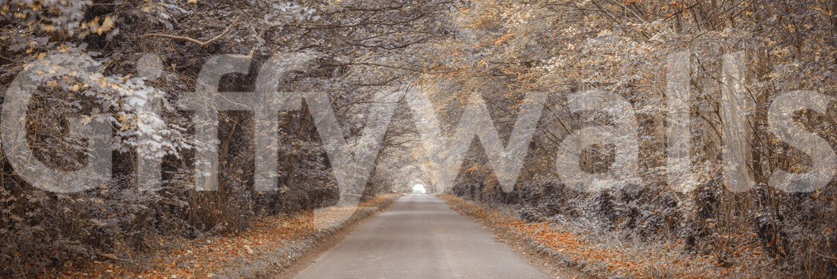 Rustic Country Road View Wall Mural
