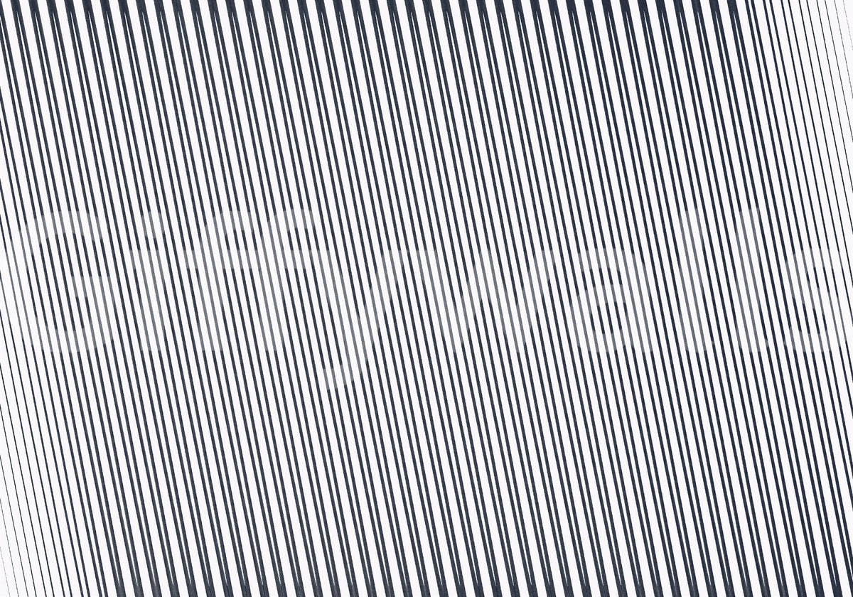 Slanted Linear Monochrome Pattern Wall Mural