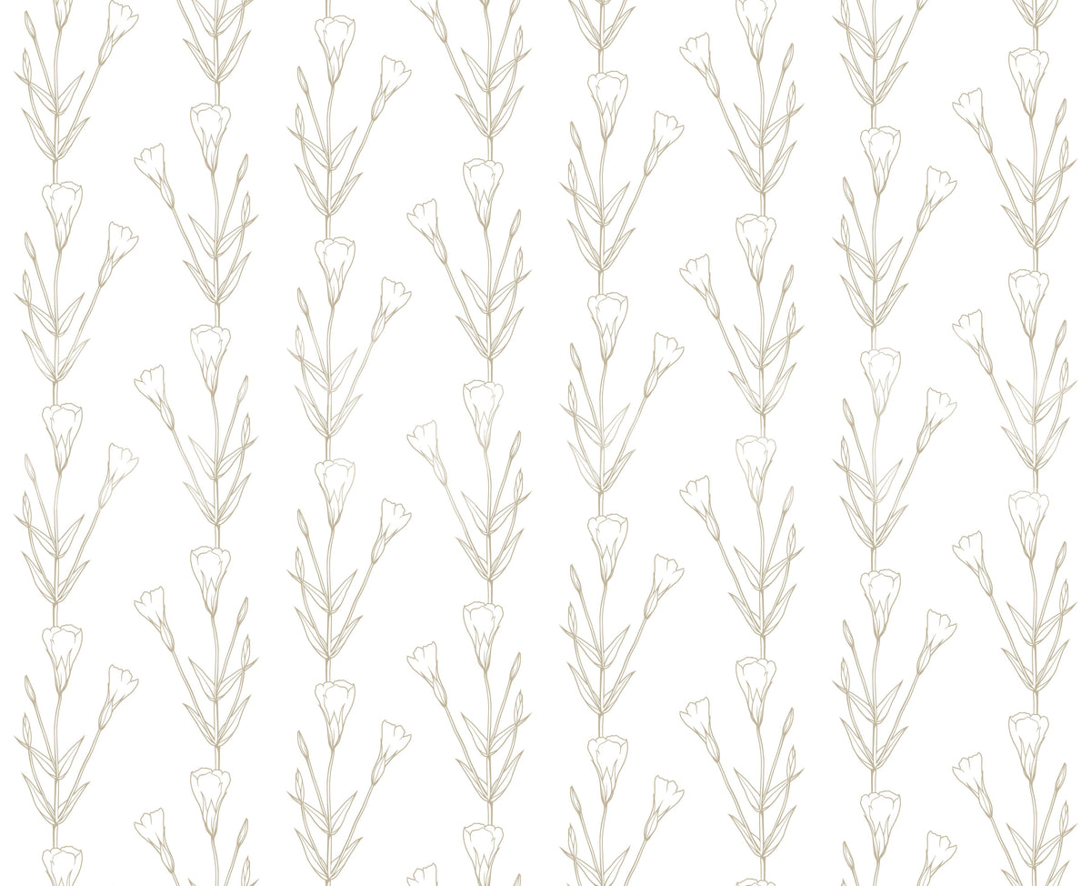 Minimalist Botanical Line Sketch Wallpaper⁠