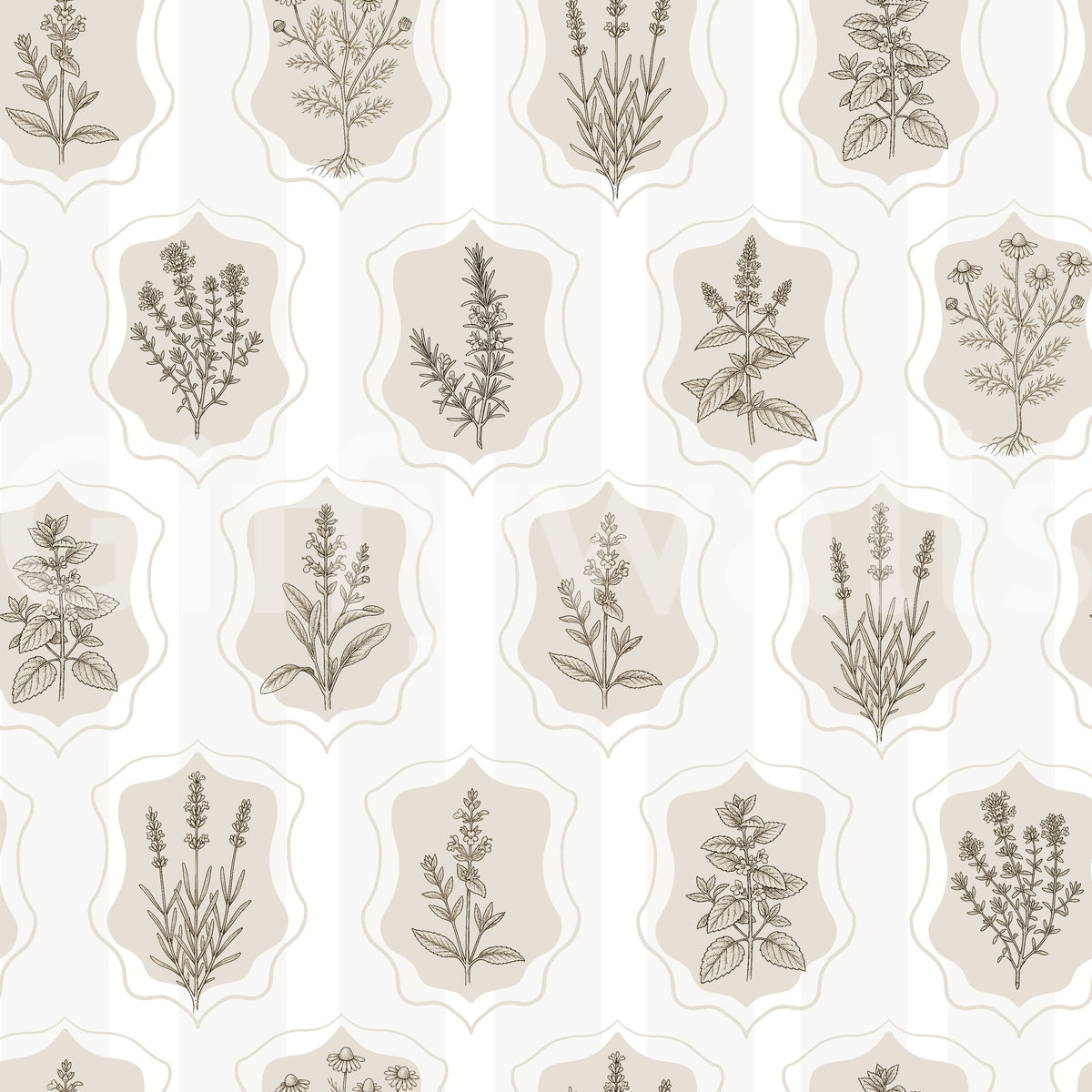 Vintage Botanical Herb Collection Wallpaper⁠