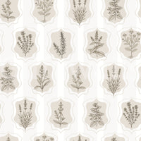 Vintage Botanical Herb Collection Wallpaper⁠