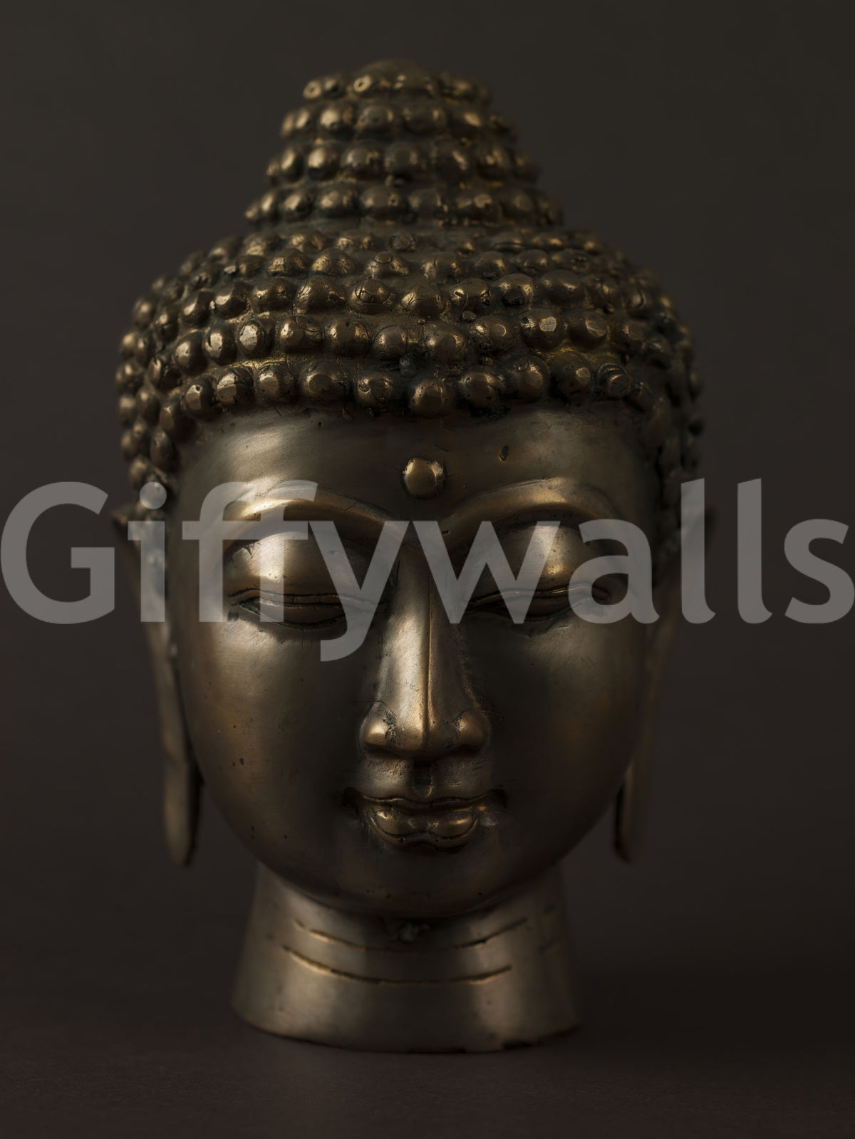 Minimalist Bronze Enlightenment Wall Mural