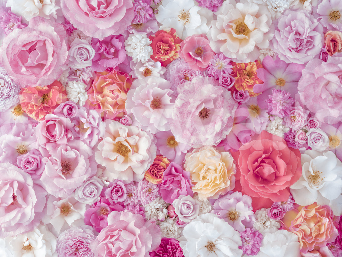 Petal Abundance Botanical Mosaic Wall Mural