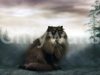 Regal Persian Cat in Misty Forest Wall Mural