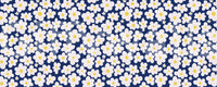 Midnight Daisy Field Pattern Wall Mural