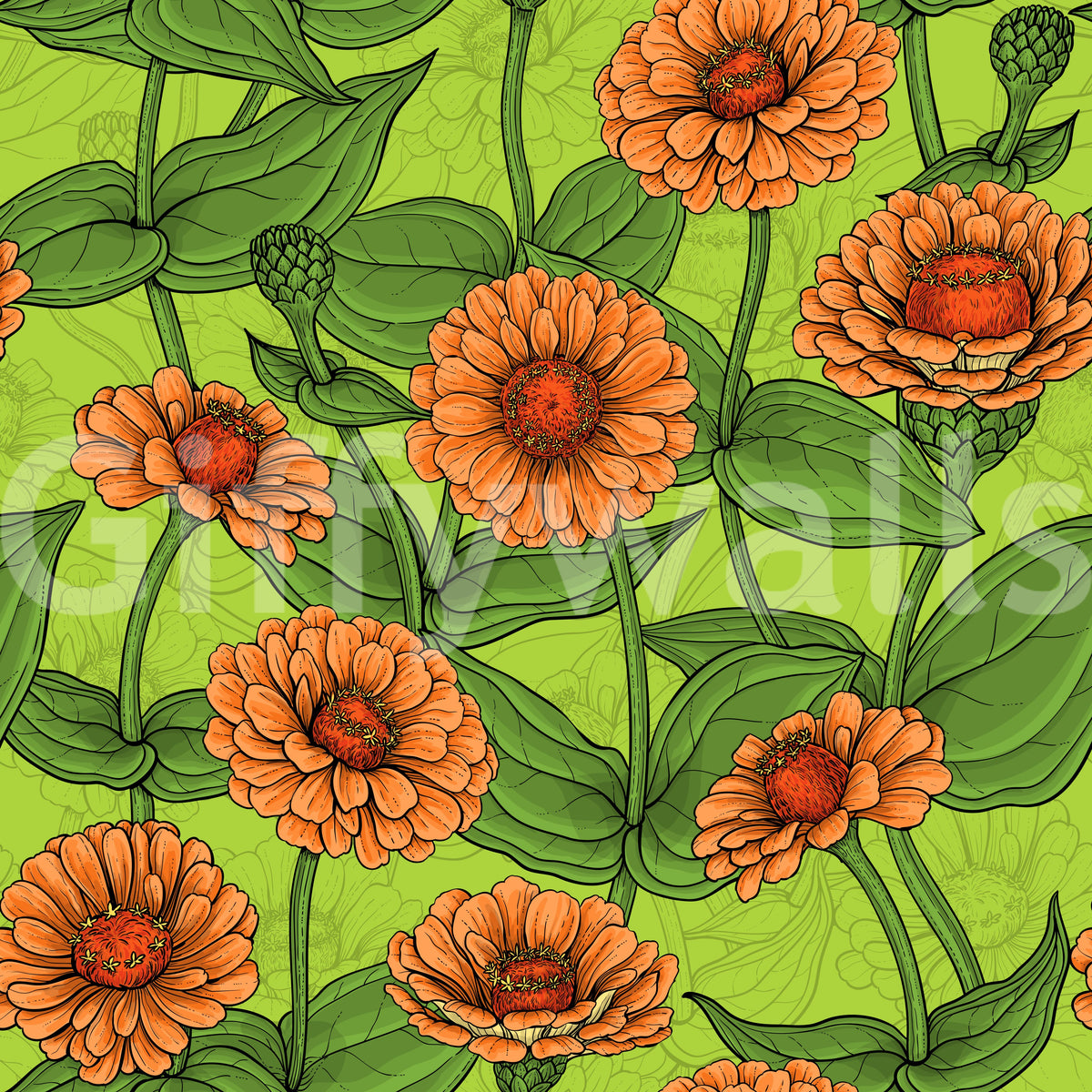 Vibrant Orange Zinnia Garden Wallpaper⁠
