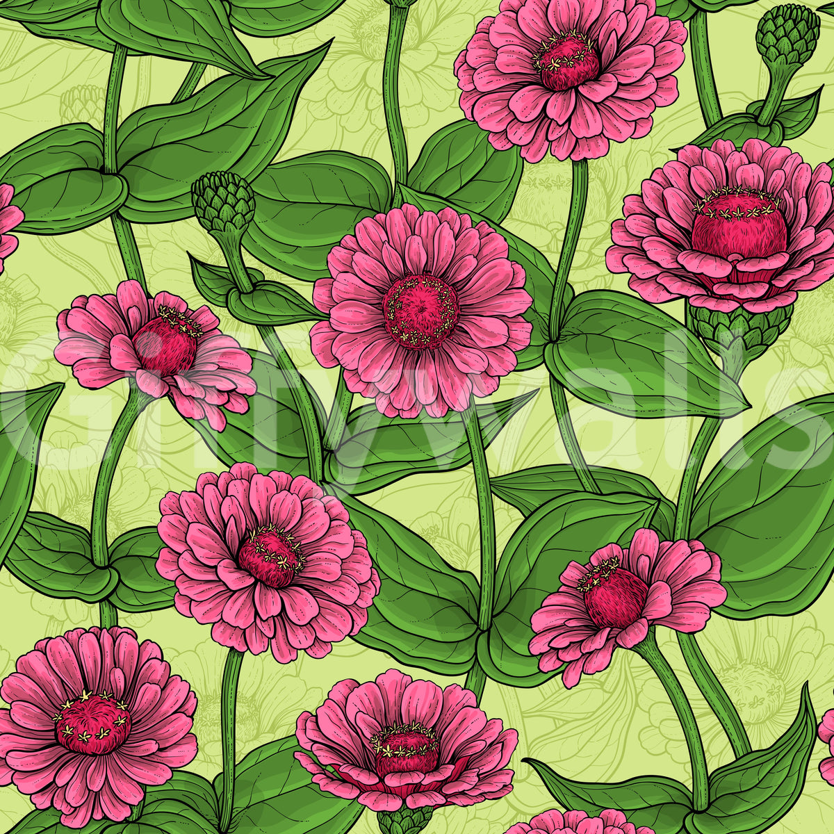 Garden Zinnia Botanical Illustration Wallpaper⁠