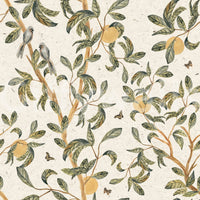 Orange Tree Wallpaper⁠