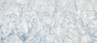 Arctic Veined Marble Texture Wall Mural