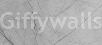 Minimalist Grey Marble Veining Wall Mural