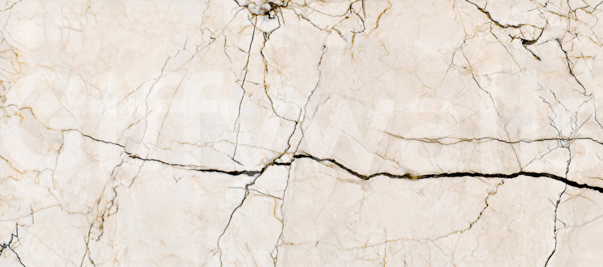 Cream and Charcoal Vein Marble Wall Mural