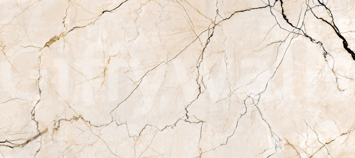 Cream and Charcoal Vein Stone Wall Mural