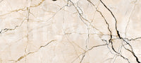 Cream and Black Marble Vein Wall Mural