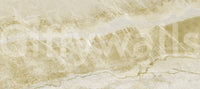 Golden Vein Natural Stone Wall Mural