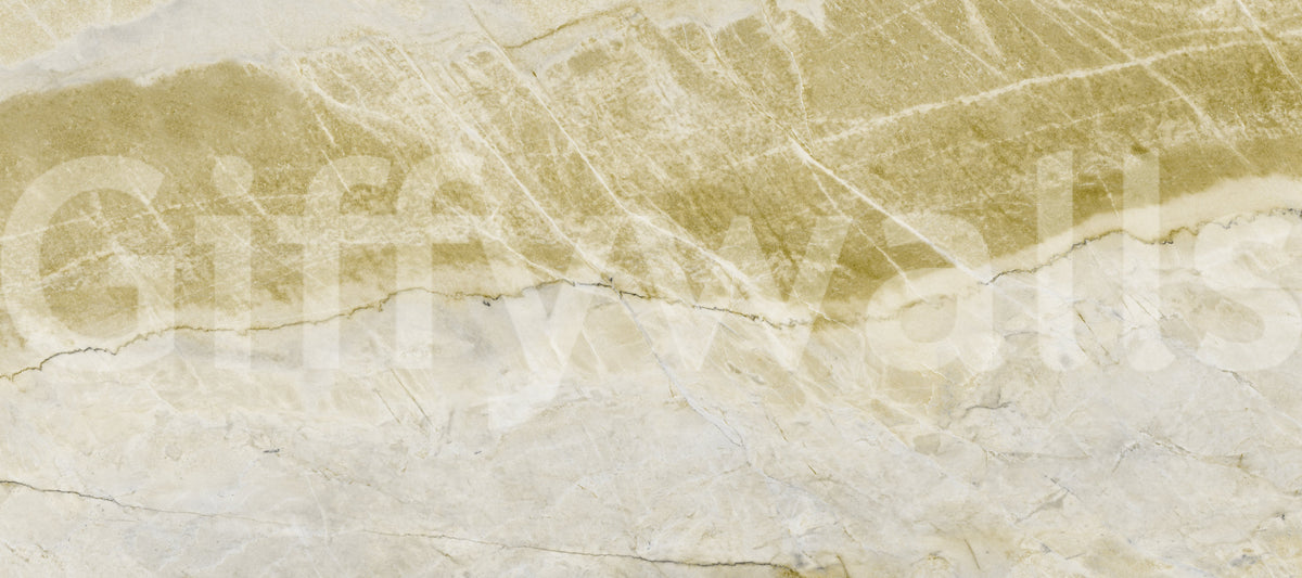 Golden Veined Stone Slab Wall Mural