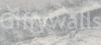 Cool Grey Marble Vein Wall Mural