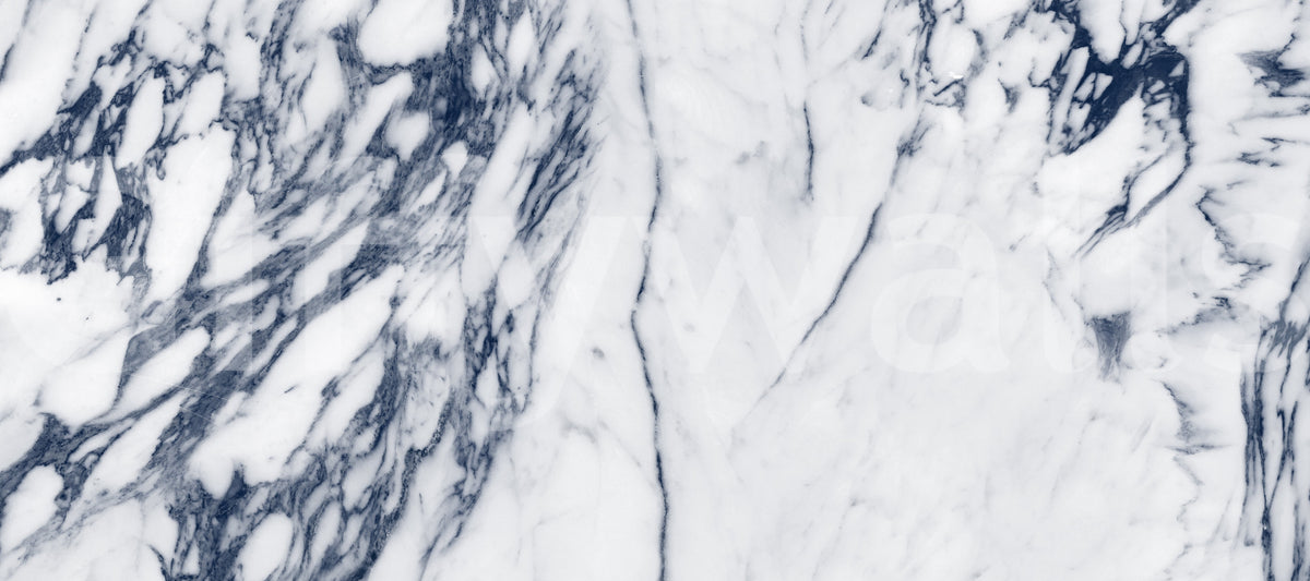 Monochrome Marble Vein Wall Mural