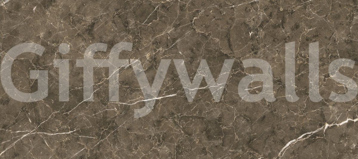 Earth Tone Marble Slab Wall Mural