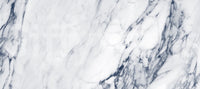 Classic Blue and White Marble Veining Wall Mural