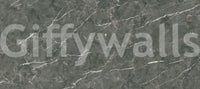 Dark Charcoal Marble Vein Texture Wall Mural