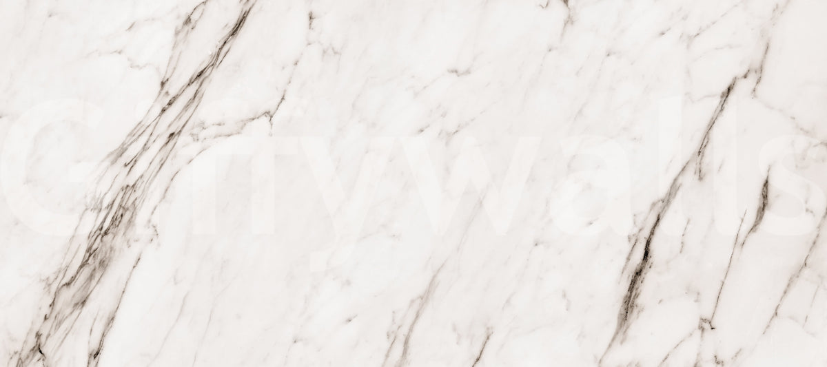 Creamy Italian Marble Slab Wall Mural