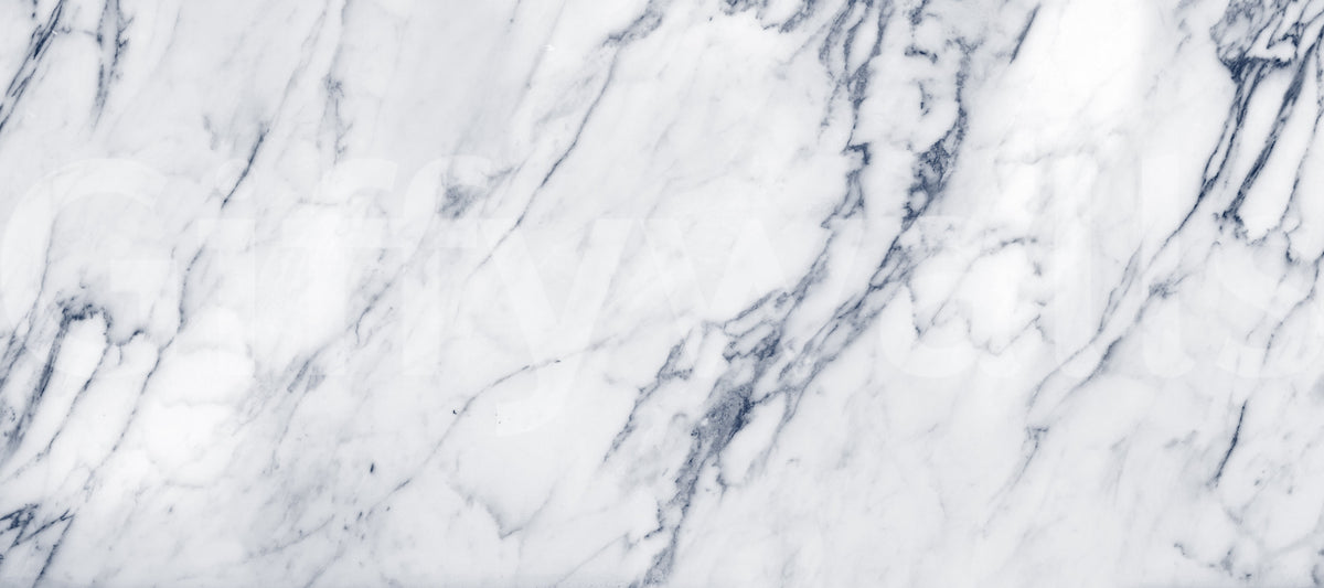 Classic Carrara Marble Vein Wall Mural