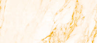 Golden Veined White Marble Slab Wall Mural