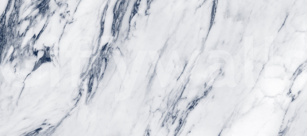 Classic Blue and White Marble Vein Wall Mural