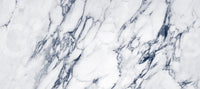 Classic White and Blue Veined Marble Wall Mural