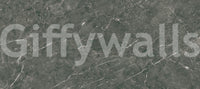 Dark Charcoal Marble Vein Wall Mural