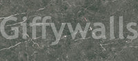 Charcoal Stone Vein Wall Mural