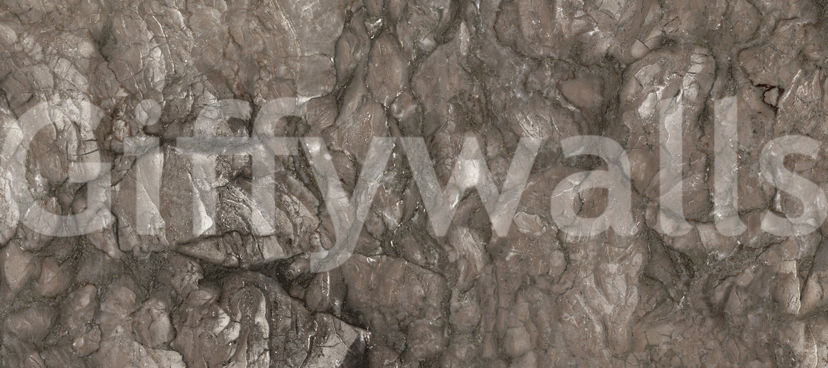 Organic Earth Tones Marble Texture Wall Mural