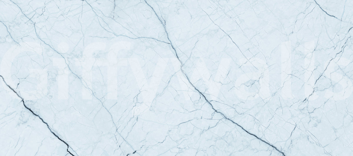 Ethereal Pale Marble Vein Wall Mural